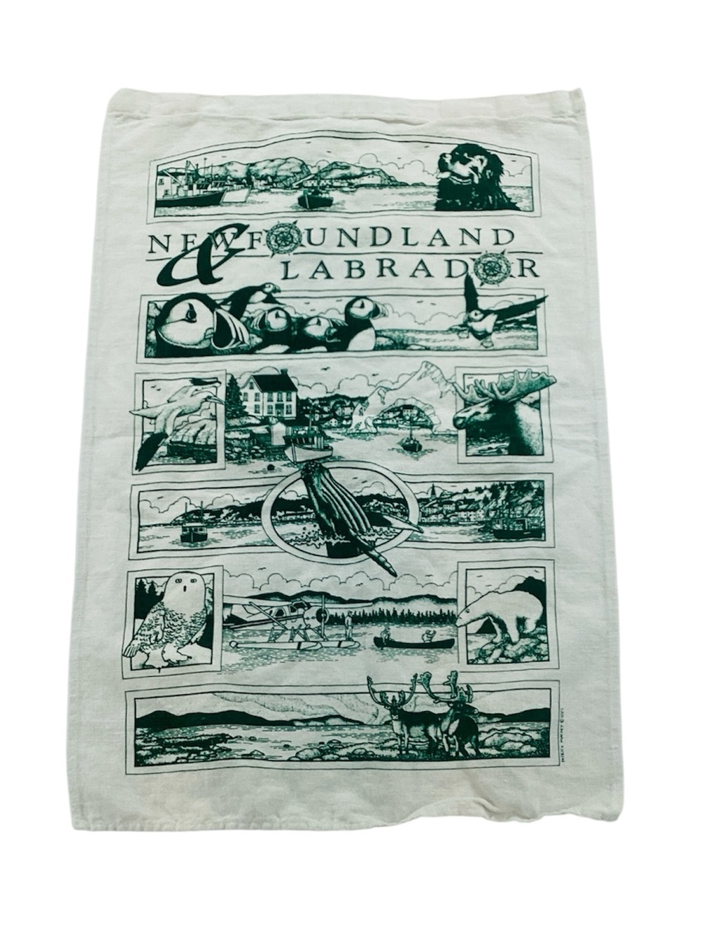 🍄 Newfoundland & Labrador Green Graphic Tea Towel